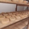 PECORINO STAGIONATO FIOR DI S’ASPRU - immagine 3